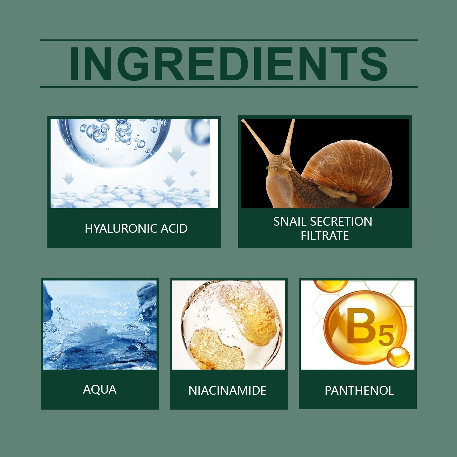 Snail Firming Serum Highly Hydrates, Removes Wrinkles And Delicate Skin Repair, Moisturizes And Rejuvenates Skin - Korvel