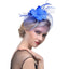 WELROG Feather Cap Lady Cocktail Dinner Party Fedoras Wedding Bridal Mesh Veil Hats Vintage Sombreros Chapeau Fascinators Hat - Korvel