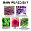 Essential Oil Goodnight Patch, Helps You Fall Asleep Quickly At Night And Relieves Body Muscle Fatigue And Stress Sleep Patch - Korvel