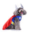 Pet Dog Supplies Creative Halloween Christmas Pet Clothes Weird Dog Clothes - Korvel