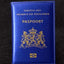 Netherlands Passport Cover Soft Pu leather New holland Women Covers For Passport Holder Nederlanden Dutch Nederland paspoort - Korvel