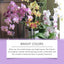 Premium Orchid Growth Nutrient Solution for Vibrant Blooms