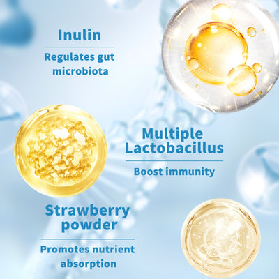 Capsules Probiotiques Premium pour le Bien-Être Digestif