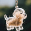 A transparent DIY pet hair memorial keychain box, a sweet keepsake for dog lovers. - Korvel