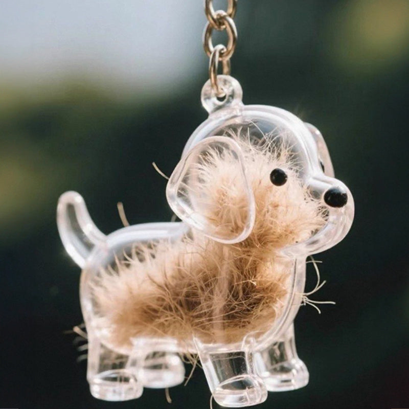 A transparent DIY pet hair memorial keychain box, a sweet keepsake for dog lovers. - Korvel