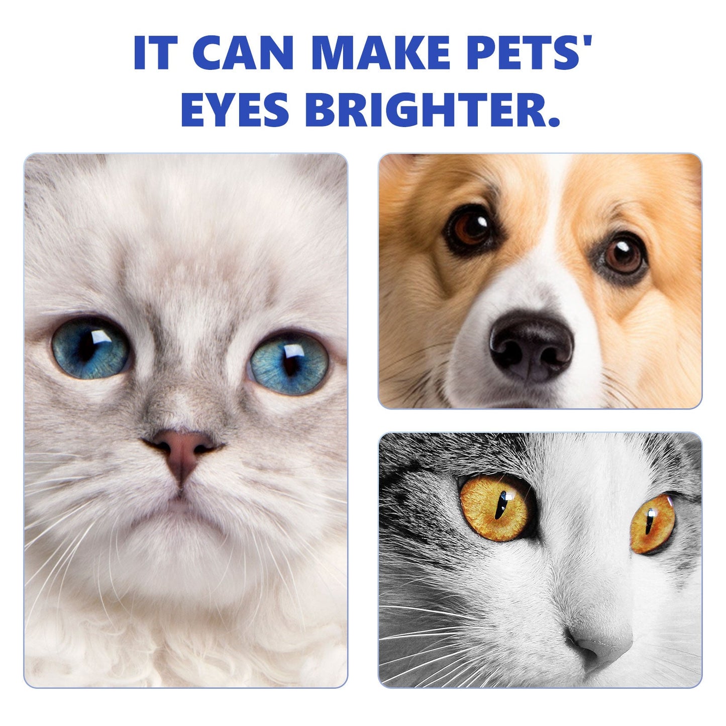 Pet Eye Drops, Cats And Dogs Eye Cleaning Care Pet Eye Wash Tear Stain Remover - Korvel