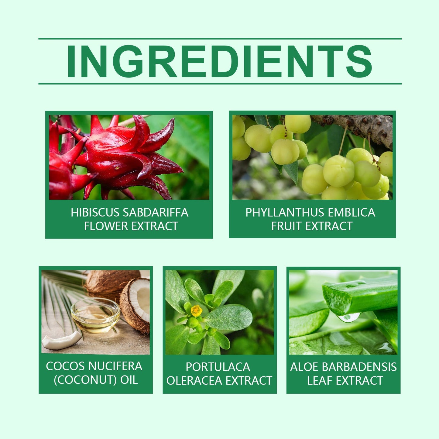 Aceite Herbal para el Cuidado del Cabello para Nutrir e Hidratación