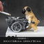 Puppy ashtray creative personality trend anti-fly ash home living room office anti-smoke resin ornaments - Korvel