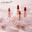 HANDAIYAN Premium Matte Lipstick - 12 Shades of Nude Pink