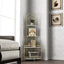 Gold 4-Tier Corner Bookshelf, Modern Style, Plant Stand with Metal Frame - Korvel