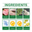 Premium Cat Grass Tablets for Nutrient Absorption