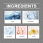 Facial Moisturizer Pure Facial Skin Nourishes, Restores, Moisturizes And Shines Daily Care Cream - Korvel