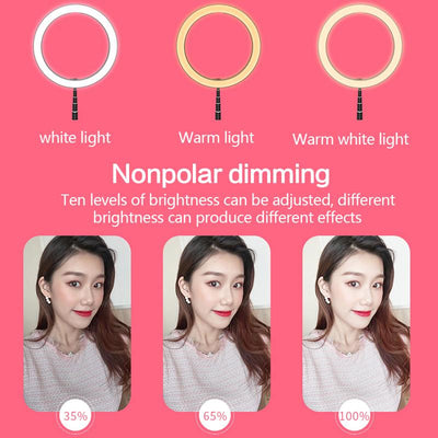 Foldable LED Ring Light with Adjustable Stand for Photography