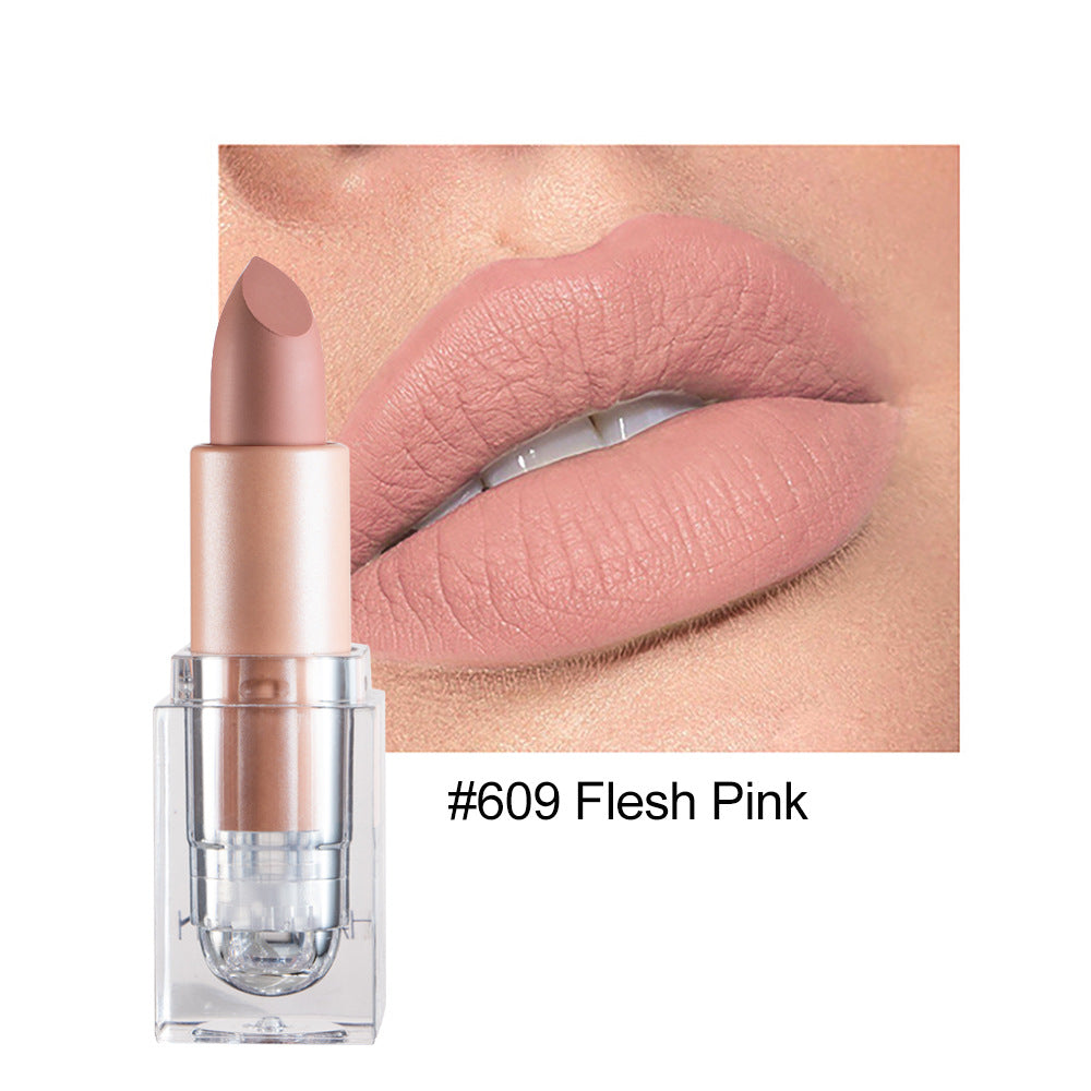 HANDAIYAN Premium Matte Lipstick - 12 Shades of Nude Pink