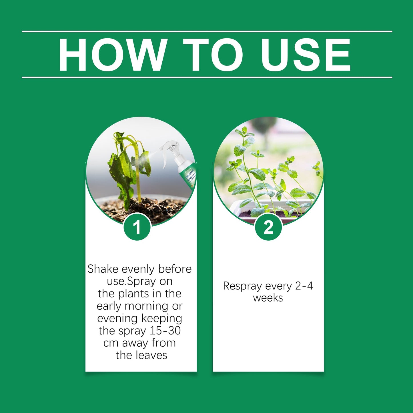 Moonspry Chlorophyll Spray - Whole Plant Nutrient Solution