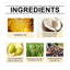 Rosemary Hair Care Essential Oil Soft Luster Hair Solid Dry Hair Fluffy Hair Care Scalp Essential Oil - Korvel