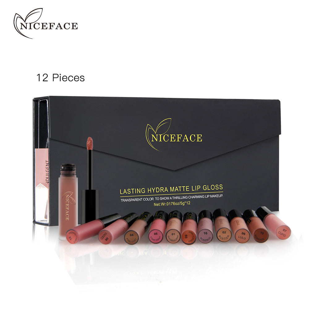 Niceface 12 Color Lip Gloss Gift Box Set