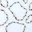 Fluorite + Lapis Lazuli + Rose Quartz || Gemstone Necklace - Korvel