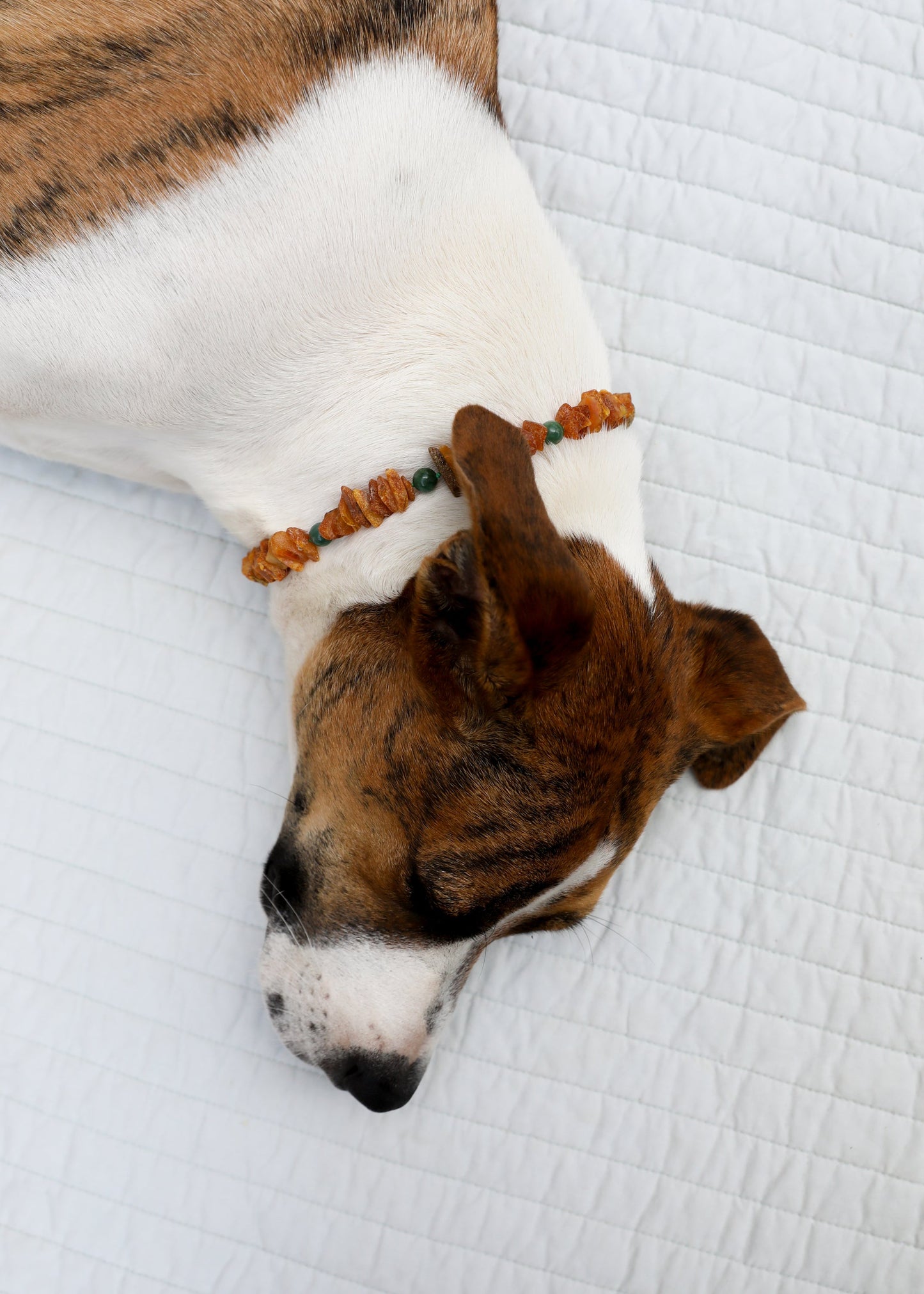 Pet Necklace: Raw Baltic Amber & Natural Green Jade