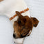 Premium Raw Baltic Amber & Rose Quartz Pet Necklace