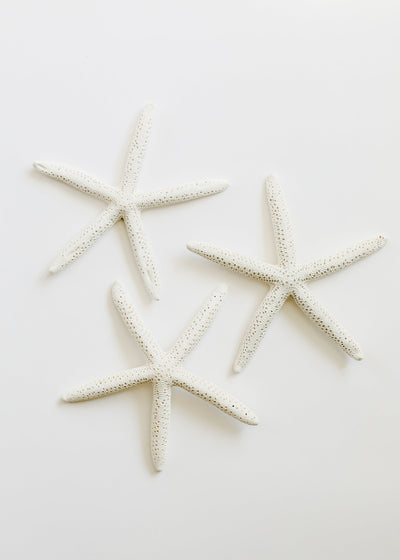 Natural Starfish Table Scatter for Coastal Decor