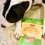 All-Natural Sweet Potato Dog Chews - Healthy Treats - Korvel