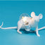 Lampe de bureau LED souris mignonne postmoderne pour décoration intérieure