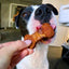 Protein-Packed Chicken & Sweet Potato Chews for Dogs - Korvel