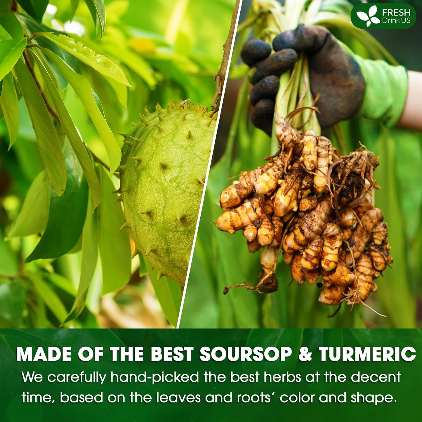 Premium Soursop Turmeric Tea Bags