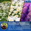 Premium Valerian Tea for Relaxation and Enjoyment