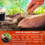 Premium Tomato Powder – 100% Pure Dehydrated Tomato