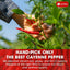 Premium Cayenne Pepper Powder - Pure Ground Red Pepper