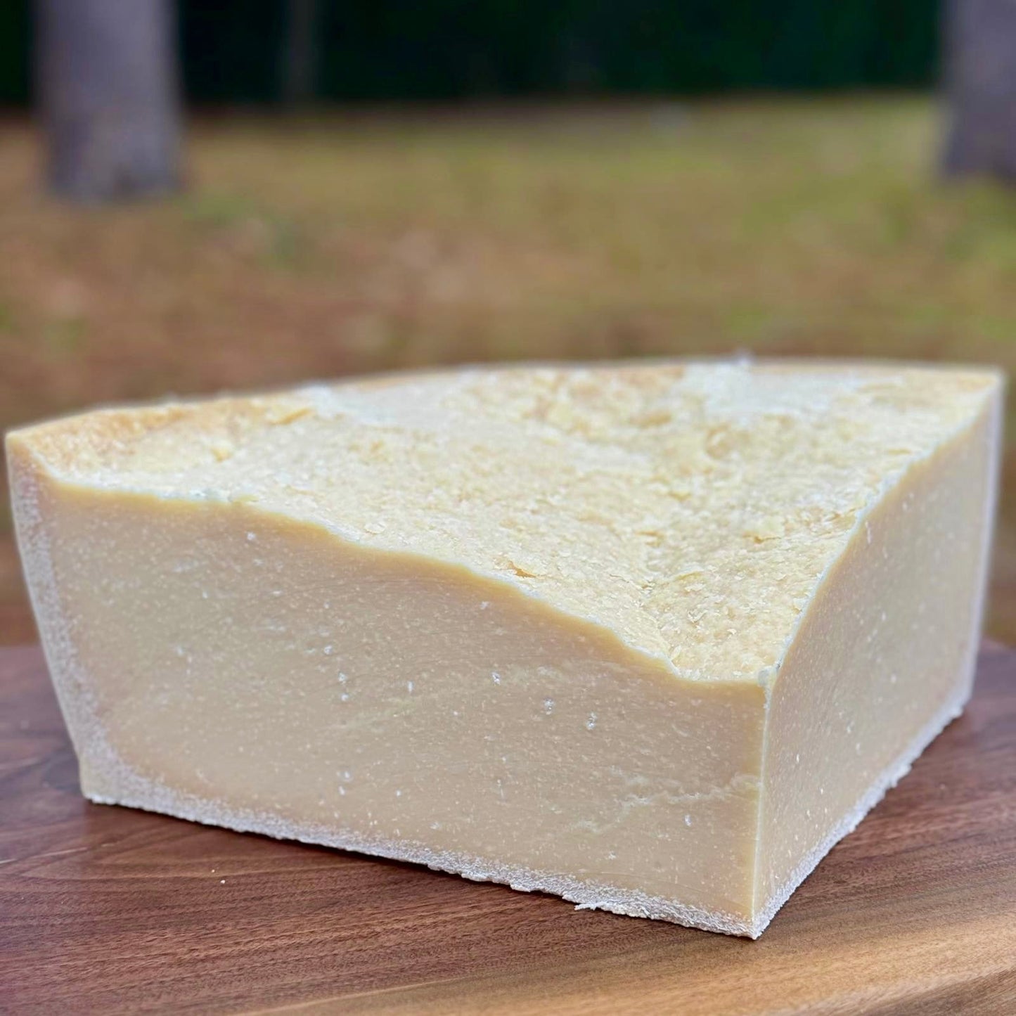 Fromage Parmigiano Reggiano Aged 10lb | 30+ Mois