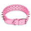 GBruno Premium Spiked Leather Dog Collar