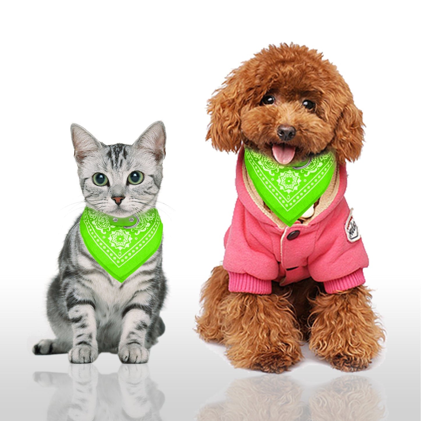Bandana Ajustable GBruno pour Chiens