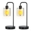 2-Pack Touch Control Table Lamp with USB Ports and Glass Shade