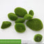 Mossy Stone Artificial Green Stone Arrangement