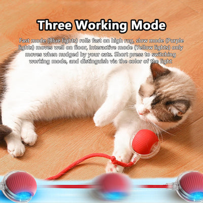 360° Smart Automatic Interactive Cat Toy Ball