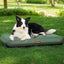 Tapis de Voyage Gonflable Imperméable PawPal Oasis pour Chien