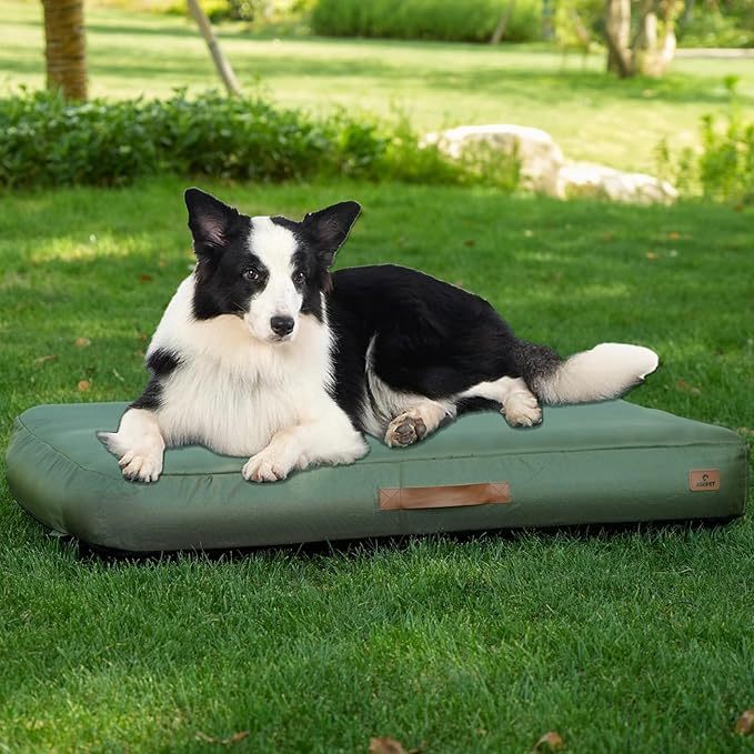 Tapis de Voyage Gonflable Imperméable PawPal Oasis pour Chien
