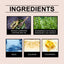 Hair Essence, Dry Hair, Frizz, Prevent Hair Loss, Moisturizing And Smoothing Hair Care Essence - Korvel