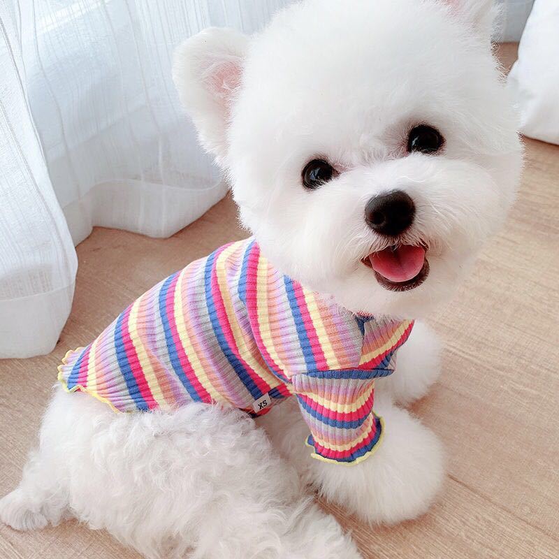 Rainbow Undercoat Dog Clothes Pet Clothes Cat Bears VIP Pomeranian Schnauzer Small Dog Clothes - Korvel