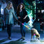Collar para Perros GBruno con Luz LED