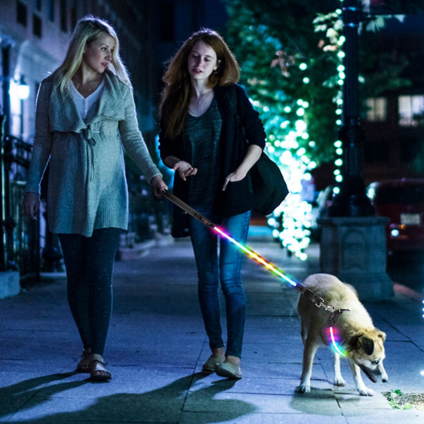 Collar para Perros GBruno con Luz LED
