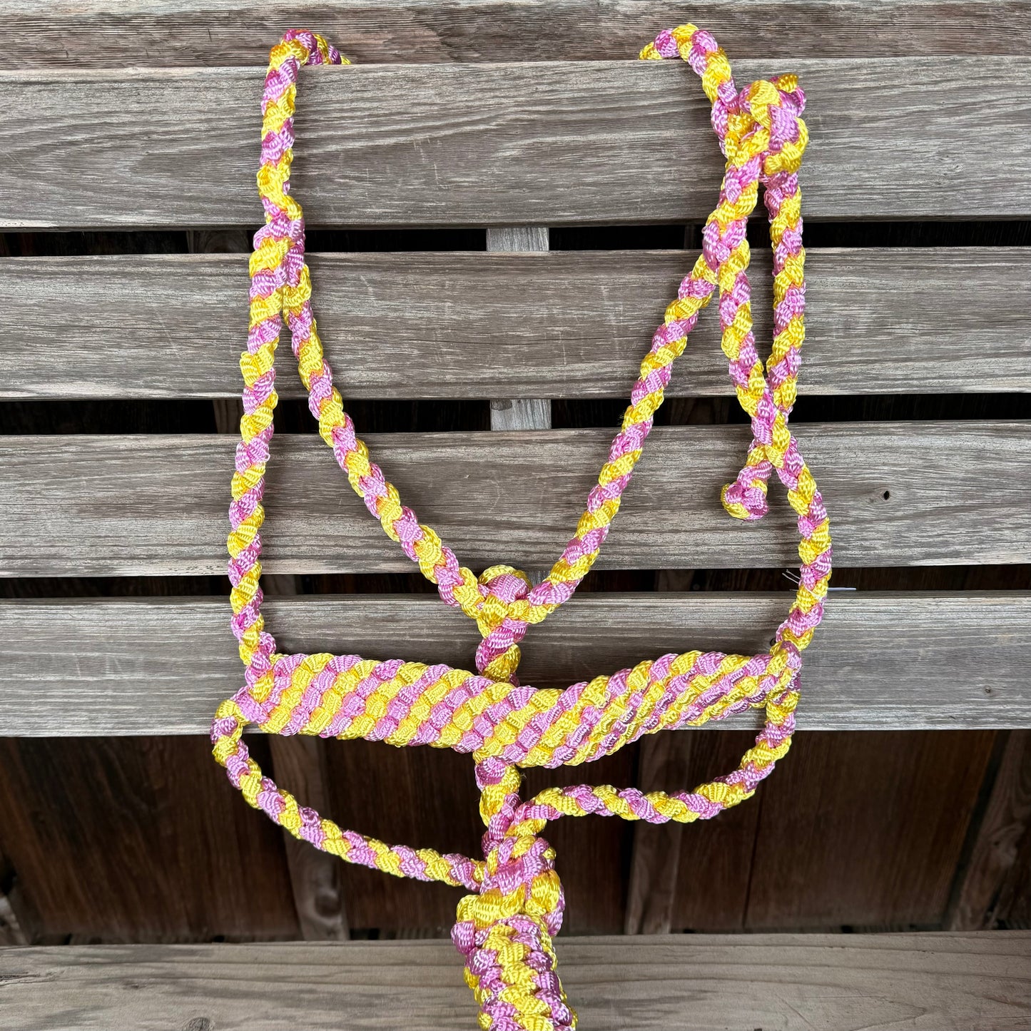 Halter LMB con Correa Desmontable