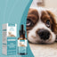 Pet Food Supplement Care For Pets Physical Discomfort Daily Care Food Supplement - Korvel