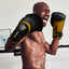 Gants d'entraînement en cuir professionnels Invincible Fight Gear