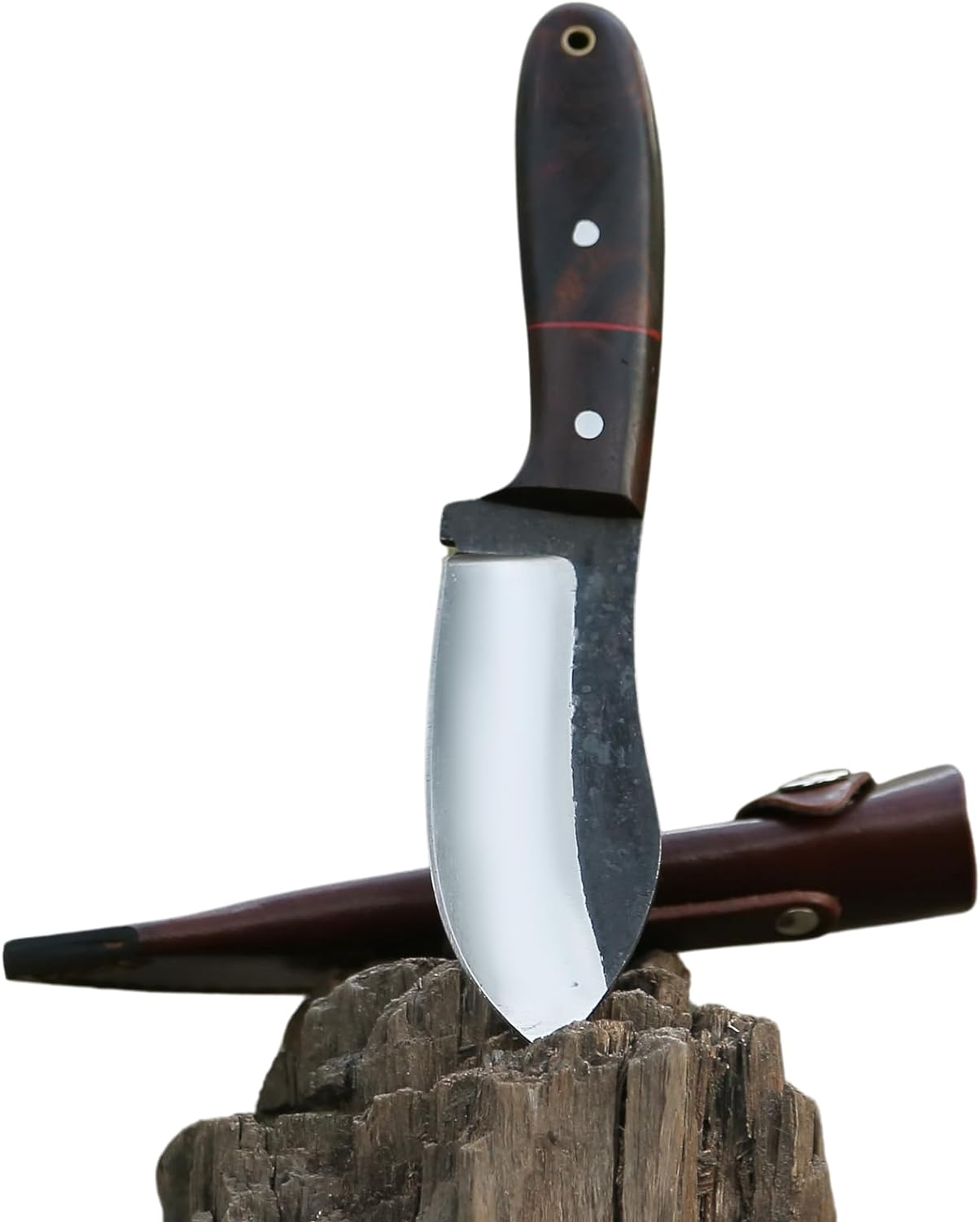 RidgeHunter Tactical Survival Knife – 9-Inch High-Carbon Blade with Premium Rosewood Handle - Korvel