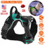 Harnais LED rechargeable pour chien - Gilet lumineux sans traction