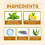 Herbal Mouthwash, Herbal Ingredients Gently Clean Teeth Odor Daily Care Mouthwash - Korvel